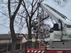 Ha az ágakkal van gond, akkor is jönnek a lánglovagok – Beavatkozás a Nógrádi Mátyás utcában